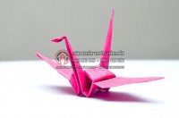 Hướng dẫn cách gấp origami hình con hạc